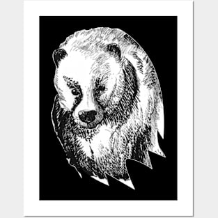 European badger portrait - nature inspired art and designs Posters and Art